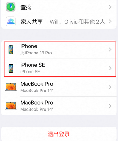 白塔苹白塔果维修网点分享iPhone如何查询序列号