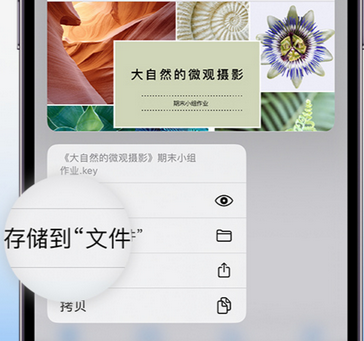 白塔apple维修中心分享iPhone文件应用中存储和找到下载文件