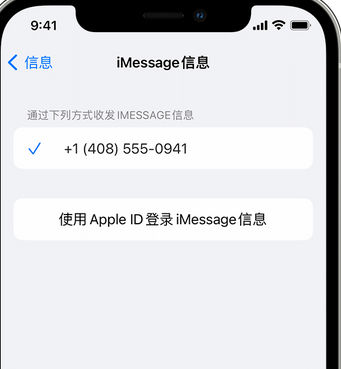 白塔apple维修iPhone上无法正常发送iMessage信息 