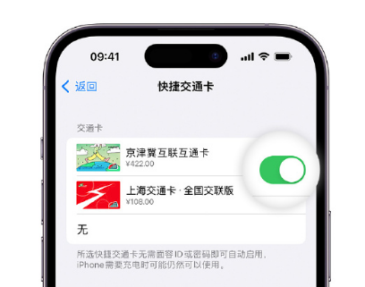 白塔apple维修点分享iPhone上更换Apple Pay快捷交通卡手绘卡面 