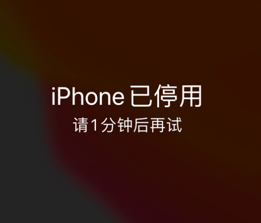 白塔苹果手机维修分享:iPhone 显示“不可用”或“已停用”怎么办？还能保留数据吗？ 