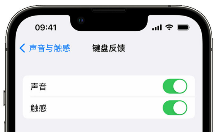 白塔苹果手机维修分享iPhone 14触感键盘使用方法 