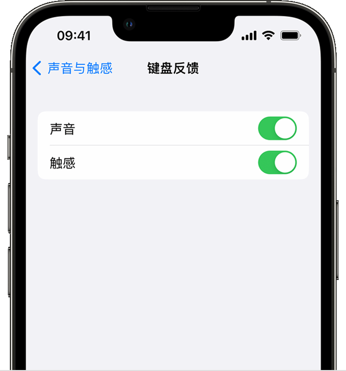 白塔苹果14维修店分享如何在 iPhone 14 机型中使用触感键盘 