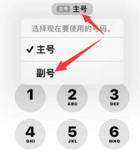 白塔苹果14维修店分享iPhone 14 Pro Max使用副卡打电话的方法 