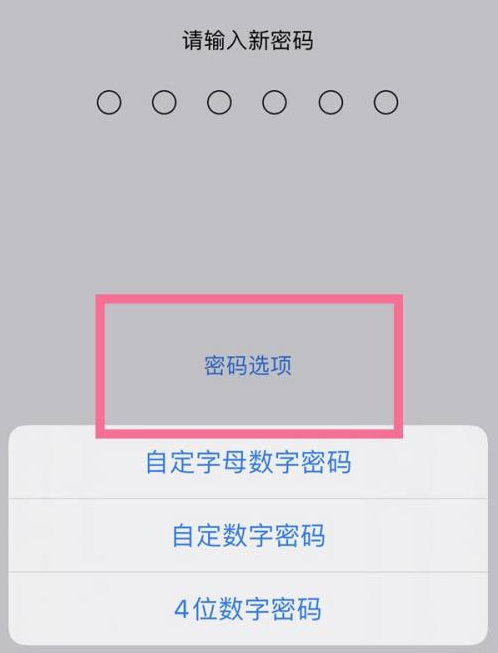 白塔苹果14维修分享iPhone 14plus设置密码的方法 