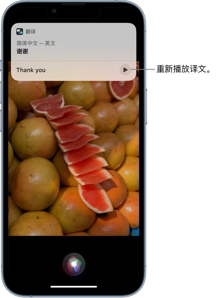 白塔苹果14维修分享 iPhone 14 机型中使用 Siri：了解 Siri 能帮你做什么 