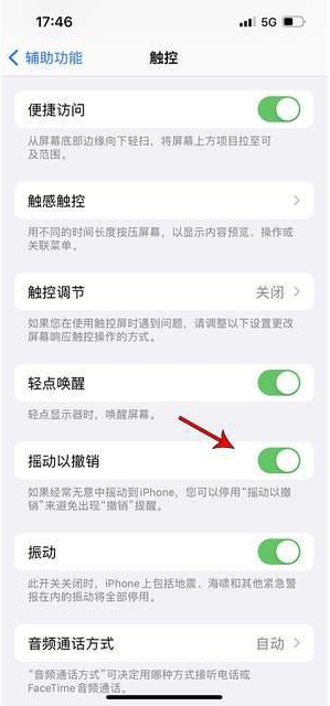 白塔苹果手机维修分享iPhone手机如何设置摇一摇删除文字 